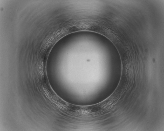 X0000057080498200509161608