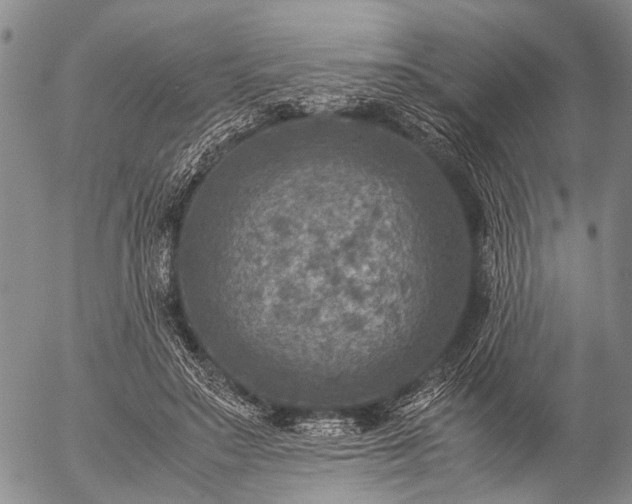 X0000057080499200509161608