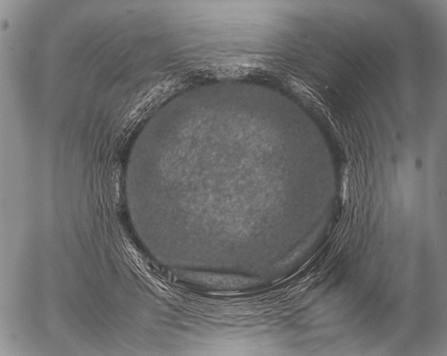 X0000057080501200509161607