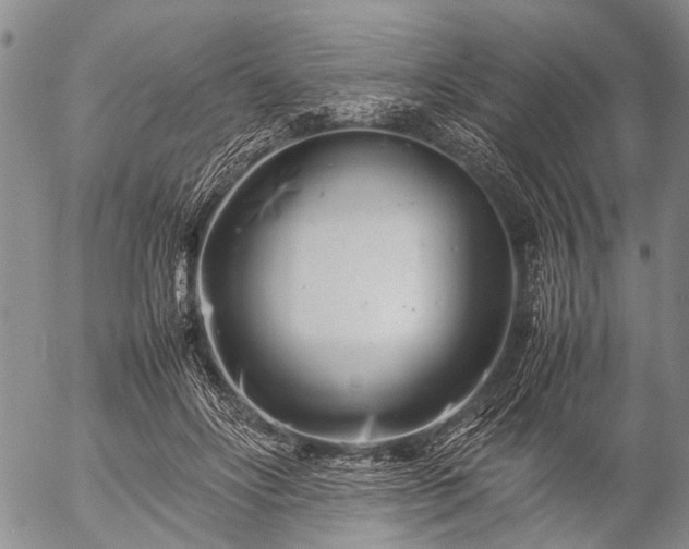 X0000057080502200509161607