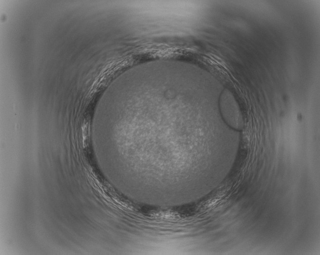 X0000057080503200509161607