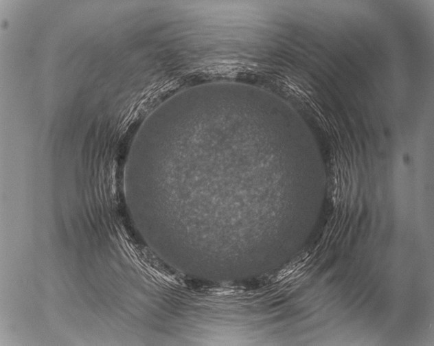 X0000057080504200509161607