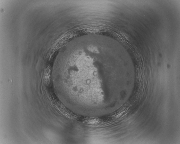 X0000057080507200509161607