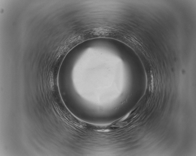 X0000057080508200509161607