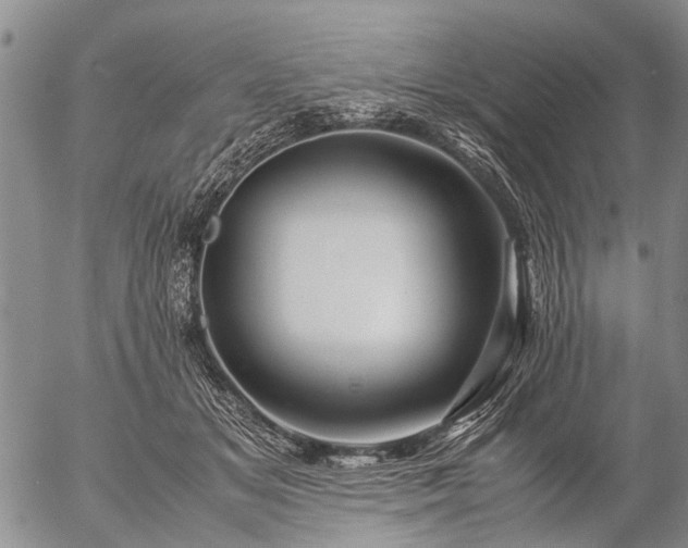 X0000057080509200509161607