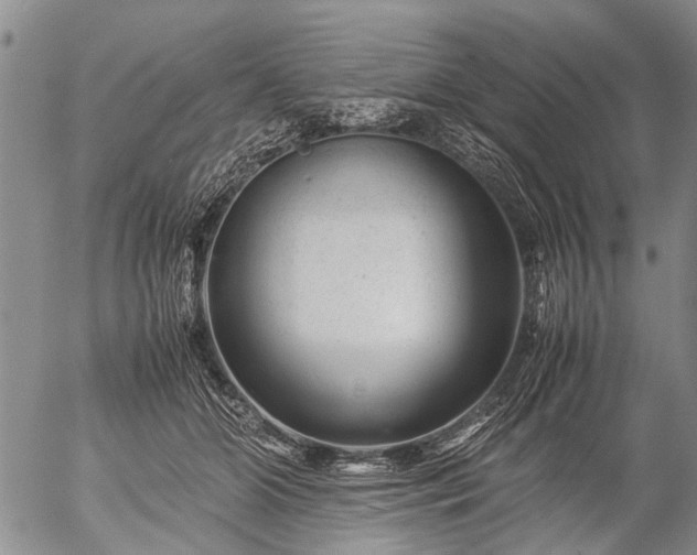 X0000057080510200509161607