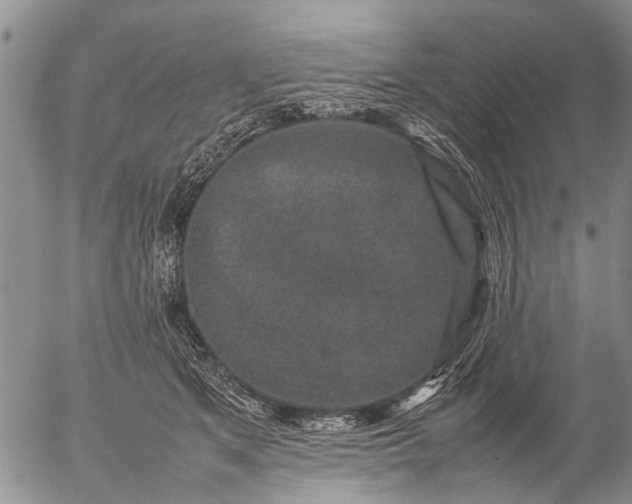 X0000057080513200509161607