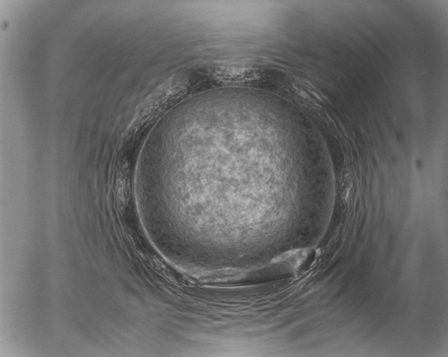 X0000057080515200509161607