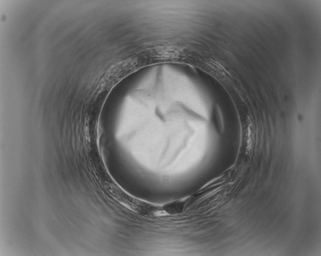 X0000057080516200509161607