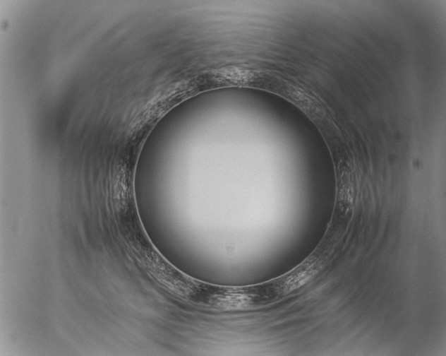 X0000057080518200509161607