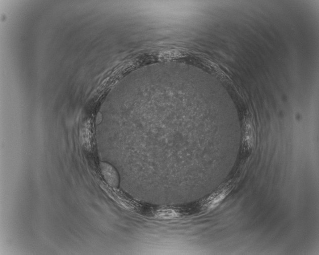 X0000057080519200509161607