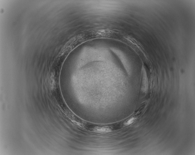 X0000057080520200509161607