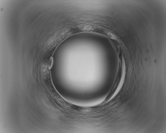 X0000057080521200509161607