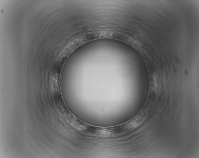 X0000057080522200509161607