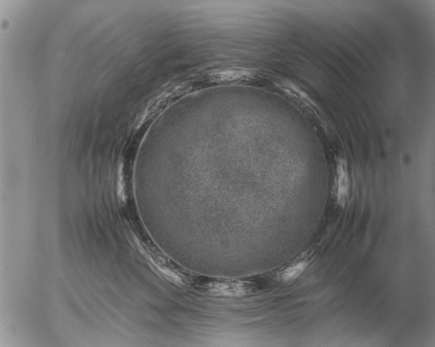 X0000057080524200509161607