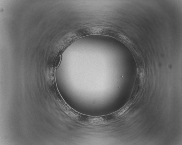 X0000057080525200509161607