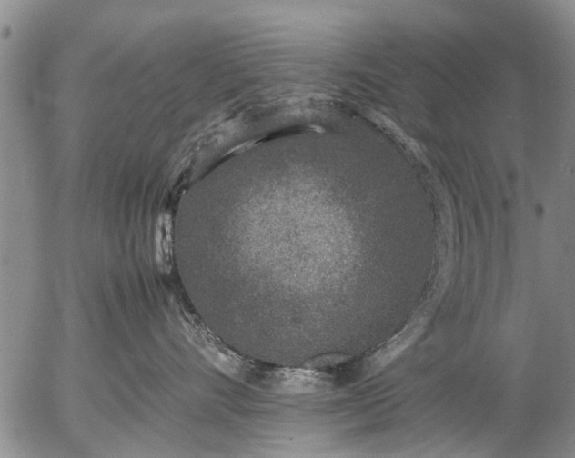 X0000057080528200509161607