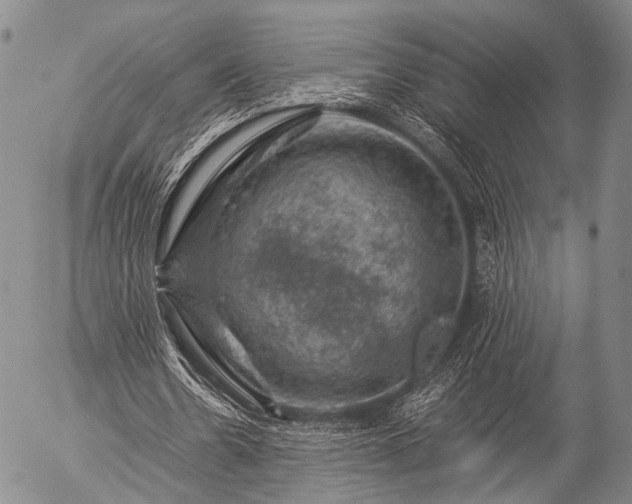 X0000057080530200509161606