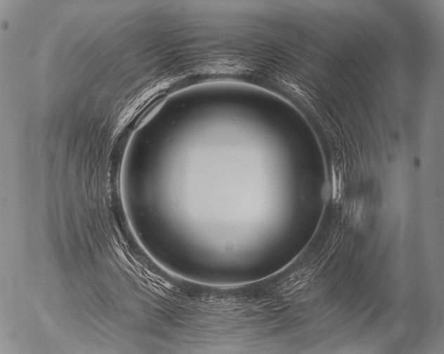 X0000057080531200509161606