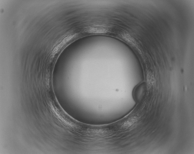 X0000057080533200509161606