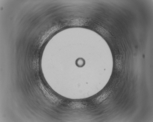 X0000057080534200509161606