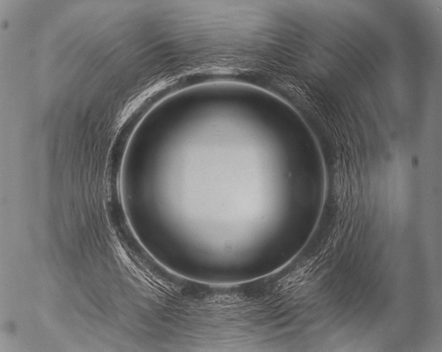 X0000057080536200509161606