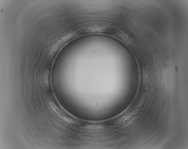 X0000057080537200509161606