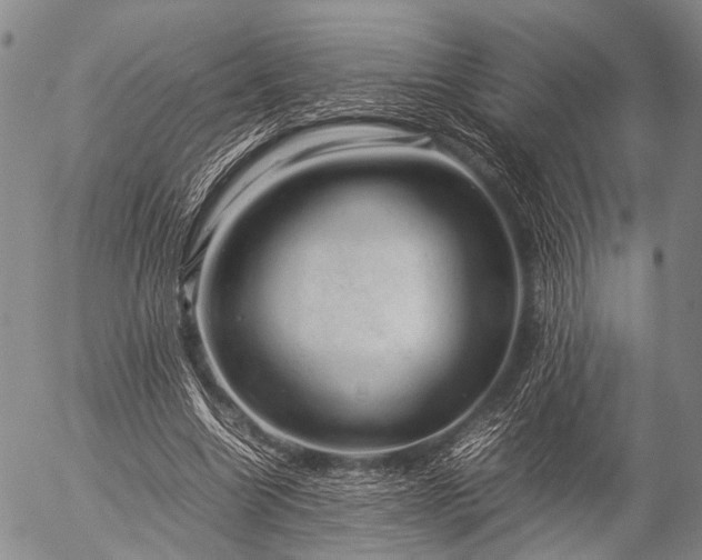 X0000057080538200509161606