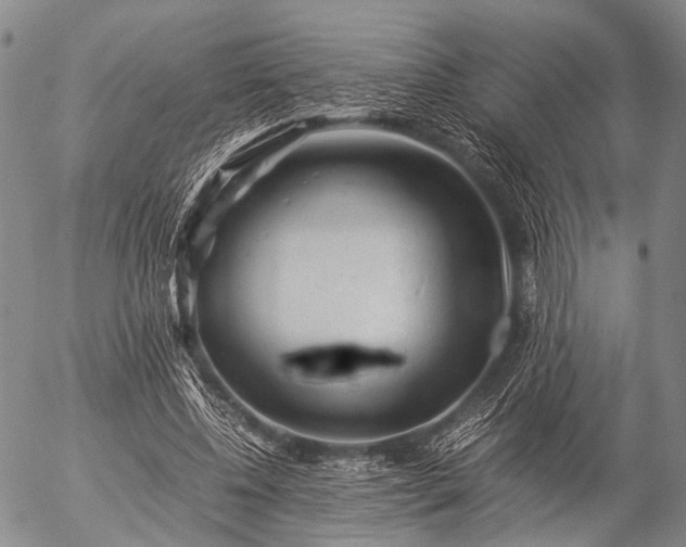 X0000057080540200509161606