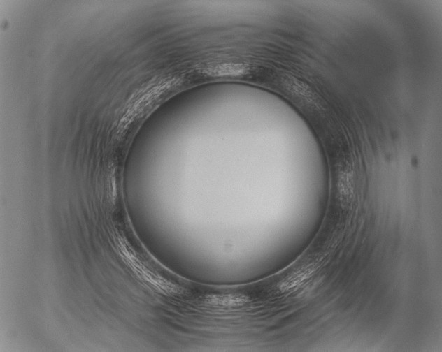 X0000057080541200509161606