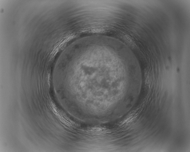 X0000057080542200509161606