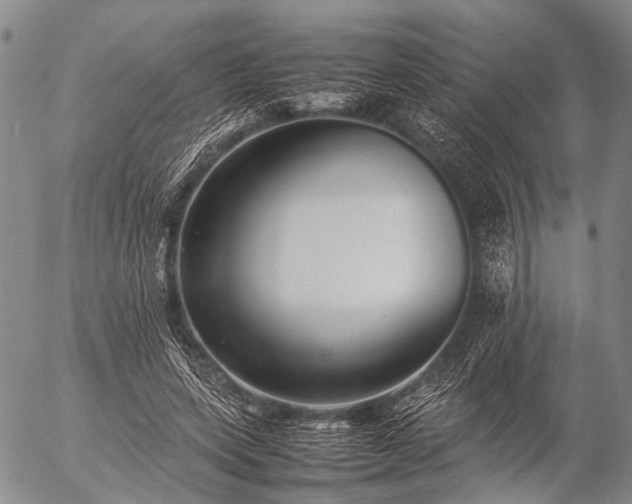 X0000057080543200509161606