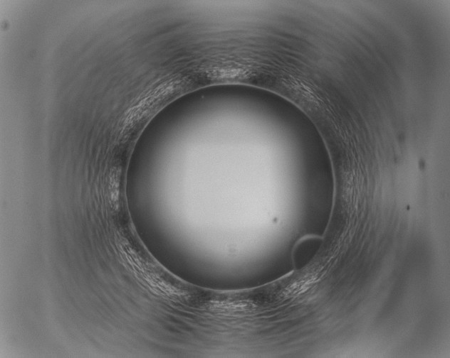 X0000057080545200509161607