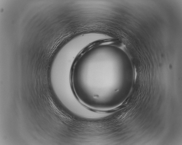 X0000057080546200509161607