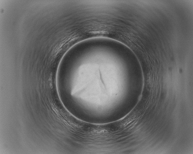 X0000057080547200509161607