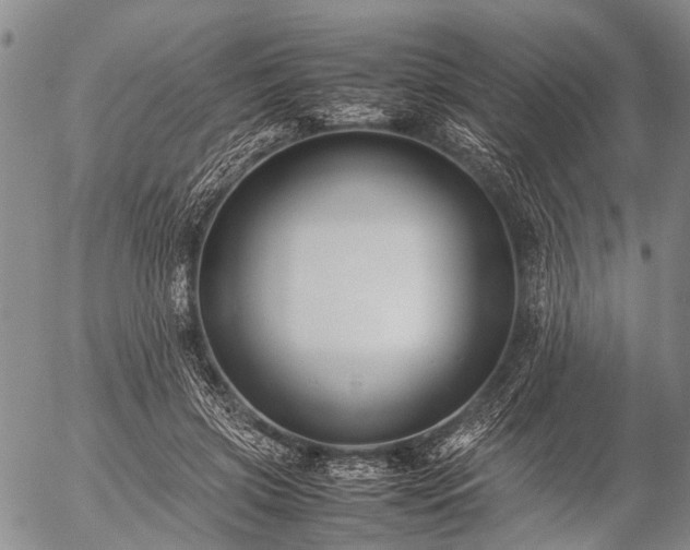 X0000057080549200509161607