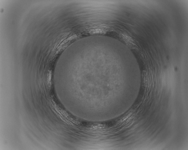 X0000057080550200509161607