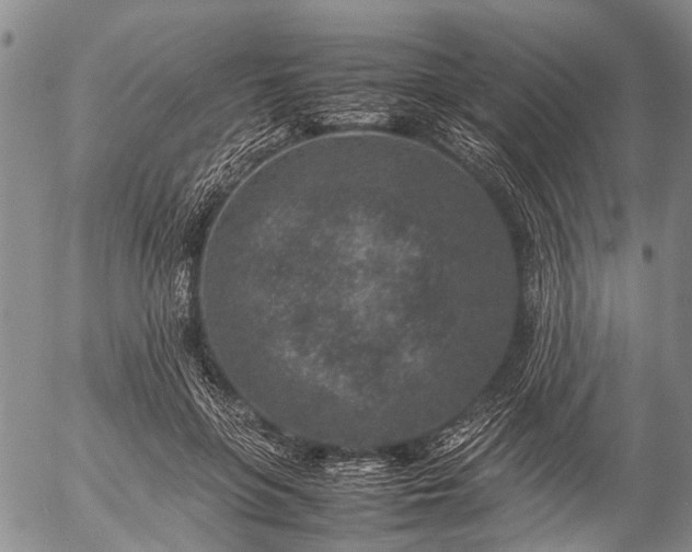 X0000057080551200509161607