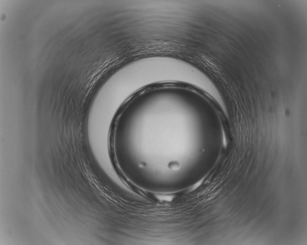 X0000057080552200509161607