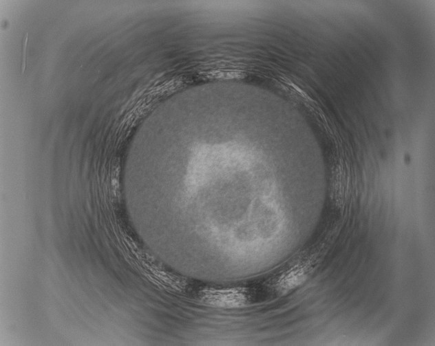 X0000057080553200509161607