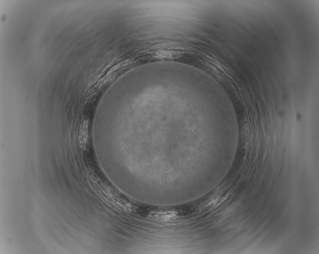 X0000057080554200509161607