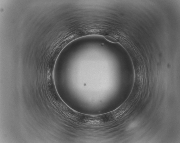 X0000057080555200509161607