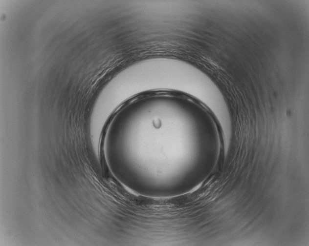 X0000057080556200509161607