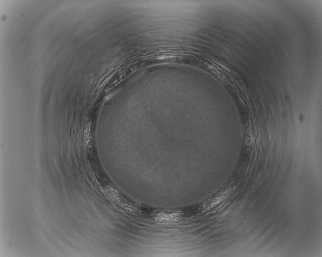 X0000057080560200509161607