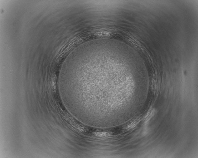 X0000057080561200509161607