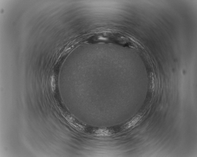 X0000057080562200509161607