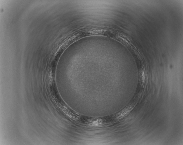 X0000057080564200509161607