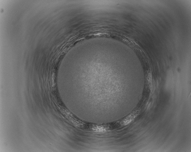 X0000057080565200509161607