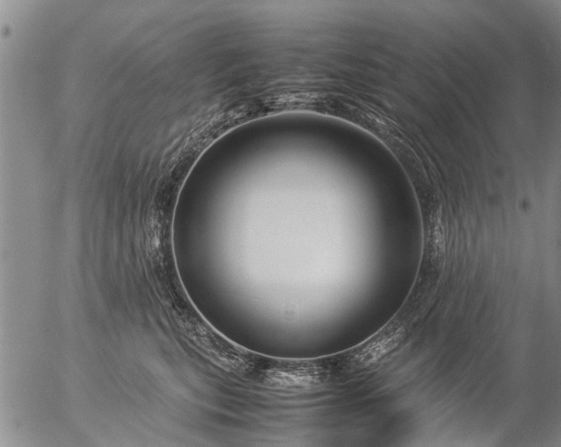 X0000057080567200509161607