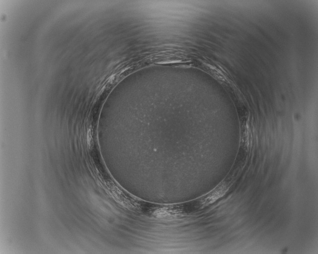 X0000057080568200509161607